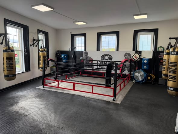 Fold up boxing ring for sale
