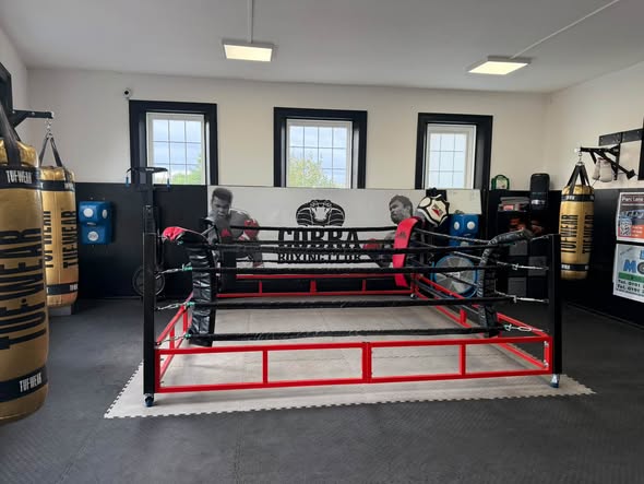 Fold up boxing ring for sale