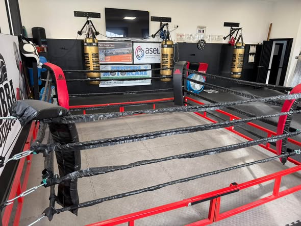 Fold up boxing ring for sale